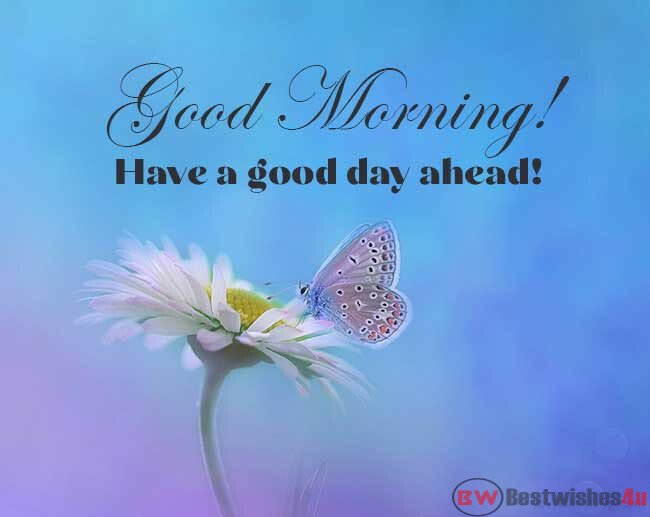 Best Good Morning Messages | Good Morning SMS & Quotes