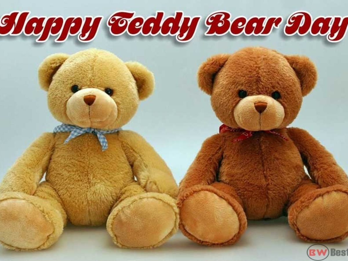 Teddy Bear Day Pic – Best Event in The World