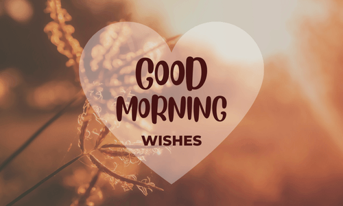 good morning wishes